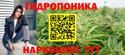 ГАЛЛЮЦИНОГЕННЫЕ ГРИБЫ Обнинск