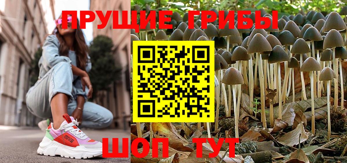 Ступино  Псилоцибиновые грибы MAGIC MUSHROOMS  Вход с VPN 