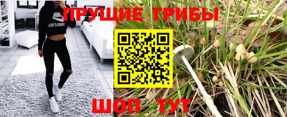 Псилоцибиновые грибы мицелий Ступино